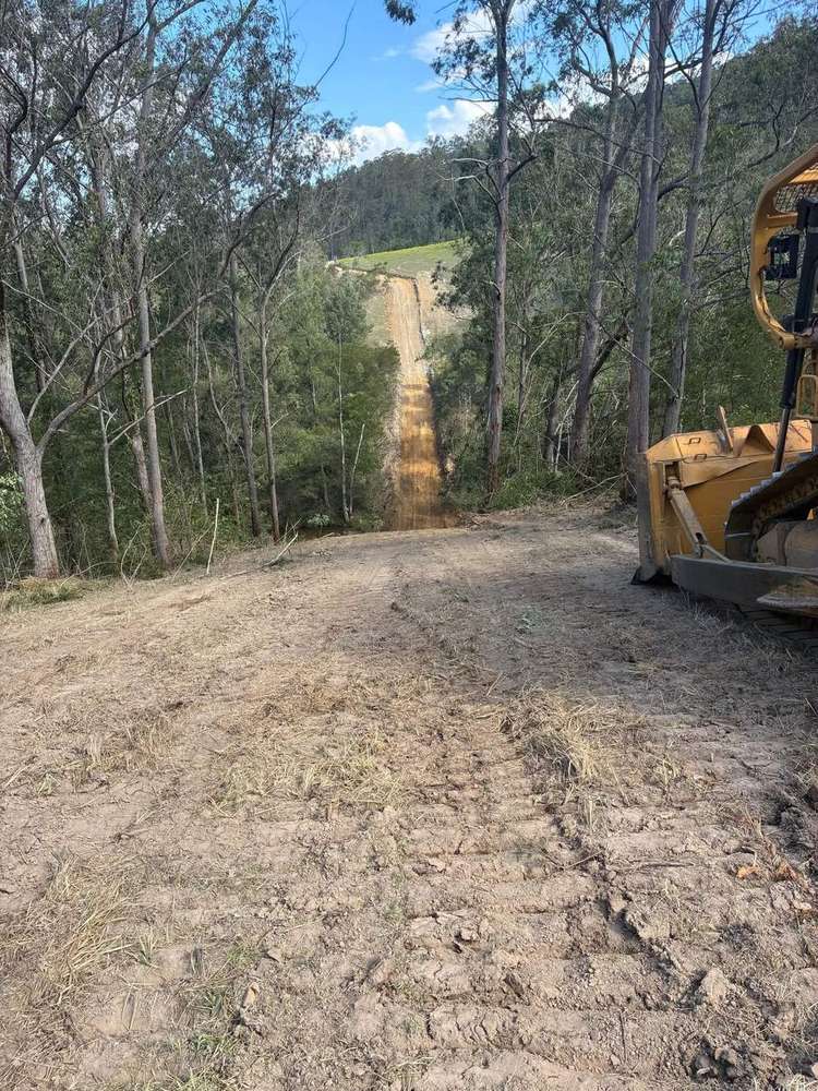 Cleared fence line running down through bushland